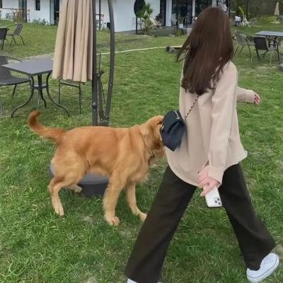 九尾妖狐之血泪