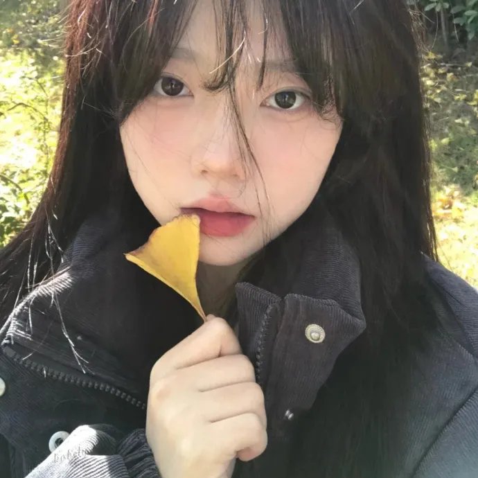 温柔之歌
